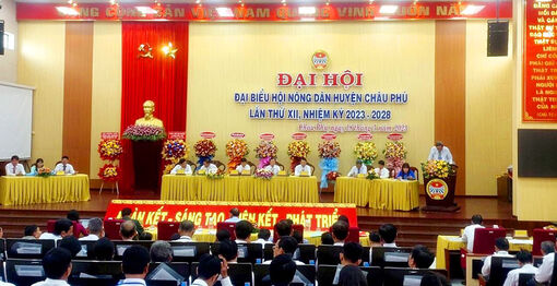 Nông dân Châu Phú chung tay xây dựng quê hương
