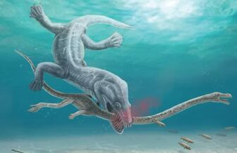 Phát hiện mới về nguyên nhân tuyệt chủng của "quái vật' biển cổ dài