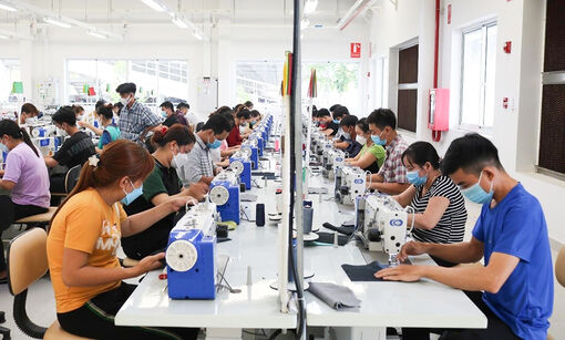 An Giang kết nối, cung ứng nguồn lao động cho doanh nghiệp