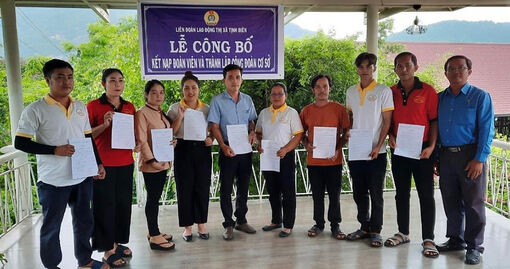 Phát triển tổ chức công đoàn trong doanh nghiệp ở TX. Tịnh Biên