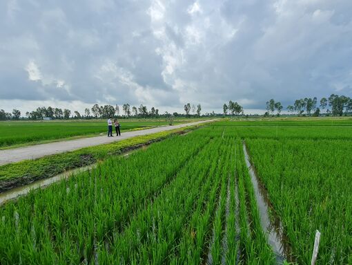 An Giang: Chuyển đổi số, thúc đẩy kinh tế nông nghiệp tuần hoàn