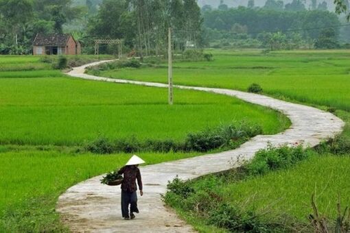 Quê nhà - chuyện xưa, nay