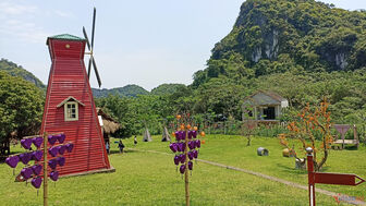 Cô gái Mường biến vườn hoang thành nông trại hút khách 'sống ảo' ở Ninh Bình