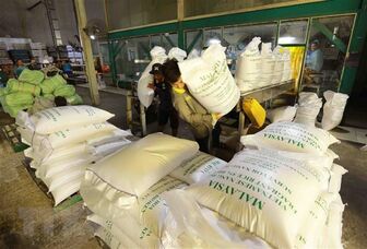 Thị trường nông sản thế giới tuần qua: Giá gạo châu Á đồng loạt tăng