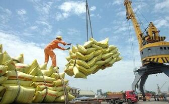 Việt Nam xuất khẩu 1,5 triệu tấn gạo sang Philippines