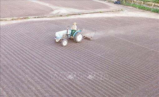 Kinh tế 6 tháng: Linh hoạt giải pháp gỡ khó cho xuất khẩu
