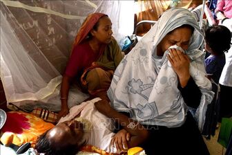 Bangladesh ghi nhận số ca sốt xuất huyết cao kỷ lục