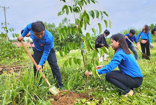 Thành đoàn Châu Đốc ra quân cao điểm Chiến dịch “Mùa hè tình nguyện”