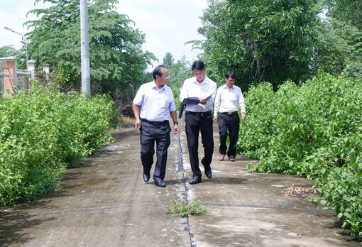 Long An: Khảo sát Chương trình Cụm tuyến dân cư vượt lũ tại huyện Thạnh Hóa, Mộc Hóa