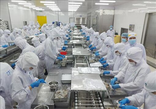Dư địa cho đà phục hồi kinh tế Việt Nam