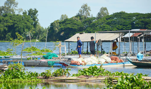 Trở lại búng Bình Thiên