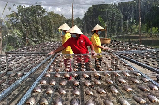 Liên kết để giảm thiểu rủi ro trong tiêu thụ sản phẩm