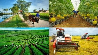 Phấn đấu đến năm 2025, có từ 60% hợp tác xã nông nghiệp hoạt động tốt, khá trở lên