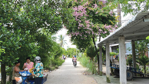 Dân vận trong đồng bào dân tộc thiểu số