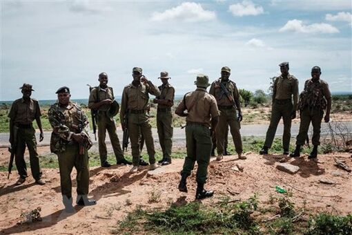 Kenya: Đã có 403 người chết trong vụ tuyệt thực trong rừng Shakahola