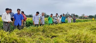 Tổng kết mô hình canh tác lúa giảm phát thải tại xã Bình Long
