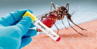 UBND tỉnh An Giang chỉ đạo tăng cường phòng, chống dịch bệnh sốt xuất huyết do muỗi truyền