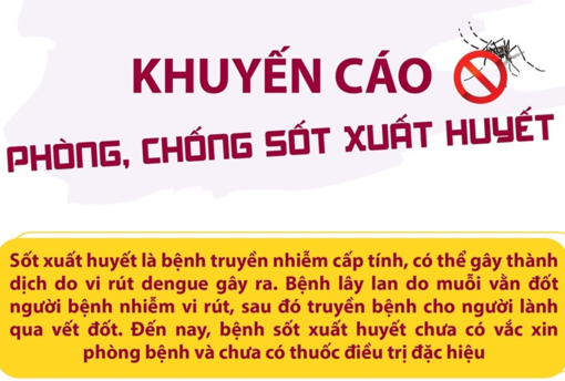 Bộ Y tế khuyến cáo phòng, chống sốt xuất huyết