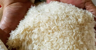 Ấn Độ chính thức cấm xuất khẩu, gạo Việt tiếp tục tăng giá
