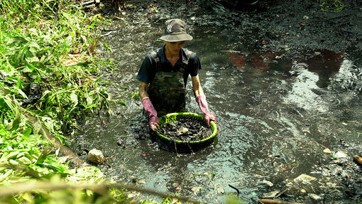 Vì một An Giang xanh