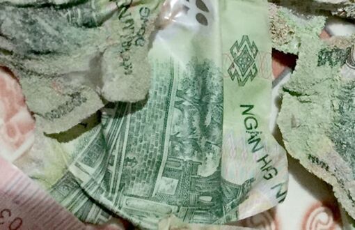Tiền bị cháy có được đem ra ngân hàng đổi mới không?