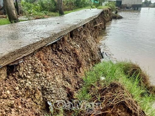 Cà Mau: Sạt lở “bủa vây”, thiếu biển cảnh báo