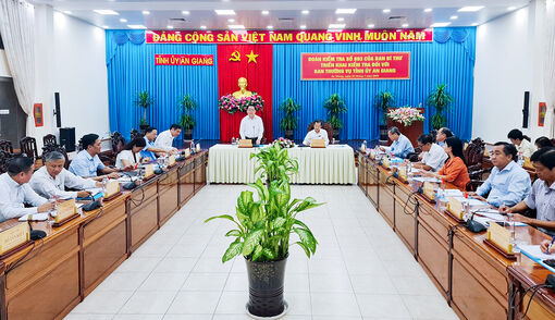 Đoàn kiểm tra Trung ương làm việc với Ban Thường vụ Tỉnh ủy An Giang