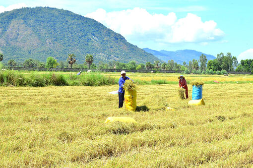 An Giang đa dạng chương trình hỗ trợ người nghèo