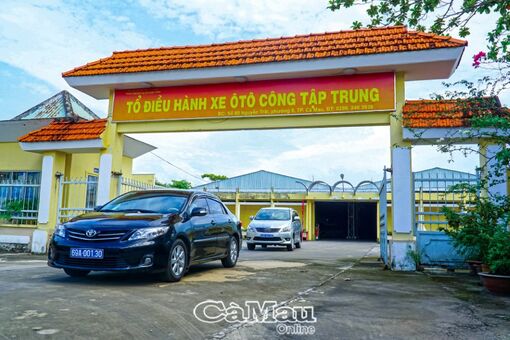 Cà Mau: "Hiệu quả kép" Ðề án 400