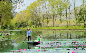 Du khách đổ về 'Tràng An của xứ Thanh' check-in dòng suối phủ đầy hoa tím