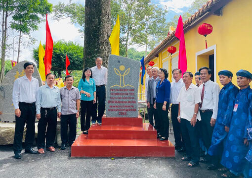 Độc đáo cây di sản đất Thoại