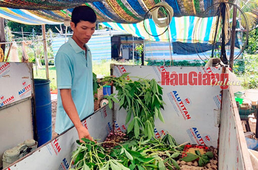 Hậu Giang: Khởi nghiệp từ ếch và dế