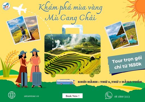 Mù Cang Chải - Mùa lúa chín 2023