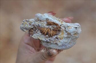 Phát hiện hơn 900 hiện vật khảo cổ tại hang Ngườm Sâu, Lạng Sơn