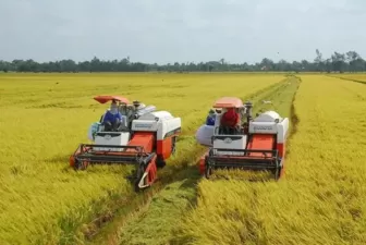 Việt Nam sẽ xuất khẩu 7 triệu tấn gạo trong năm 2023