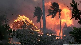 Điều gì đã gây ra những vụ cháy rừng kinh hoàng ở Hawaii?