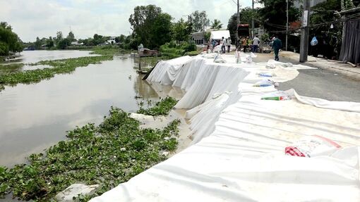 An Giang tập trung ứng phó sạt lở, biến đổi khí hậu