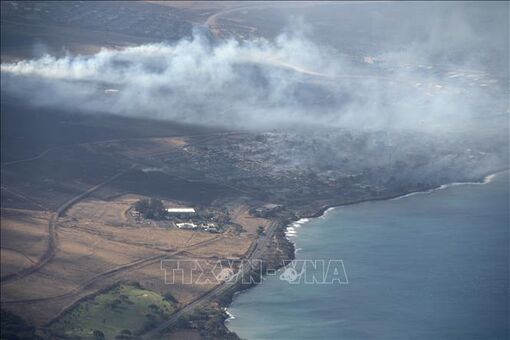 Thảm họa cháy rừng ở Hawaii (Mỹ): Con số thương vong sẽ còn tăng