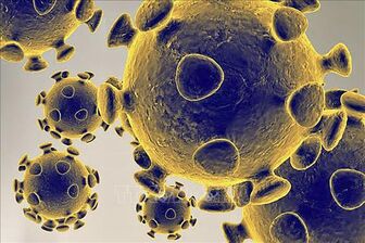 Mỹ: Phát hiện biến thể mới của virus SARS-CoV-2