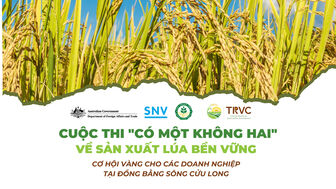Cuộc thi “có một không hai” về sản xuất lúa bền vững: Cơ hội vàng cho các doanh nghiệp ở ĐBSCL