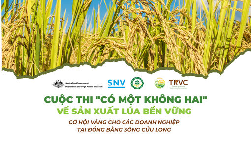 Cuộc thi “có một không hai” về sản xuất lúa bền vững: Cơ hội vàng cho các doanh nghiệp ở ĐBSCL