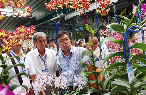 “Vì hoa, nên phải đánh đường tìm hoa”