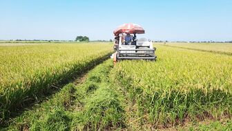 Cơ giới hóa sản xuất lúa ở nam đồng bằng sông Hồng