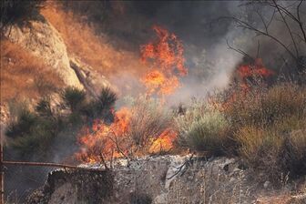 Mỹ ghi nhận số vụ cháy rừng do con người gây ra 'tăng đáng kể'