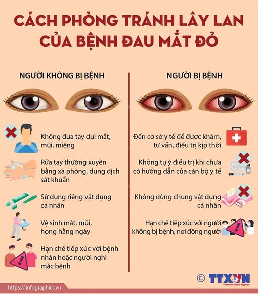 Cách phòng tránh lây lan của bệnh đau mắt đỏ