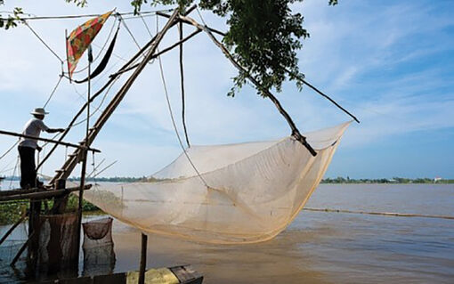 Cất vó đầu mùa