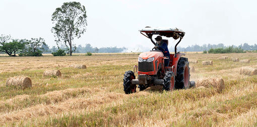 Châu Thành phát triển nông nghiệp theo hướng bền vững