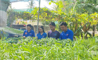 Huyện đoàn Tri Tôn hỗ trợ thanh niên dân tộc thiểu số Khmer khởi nghiệp