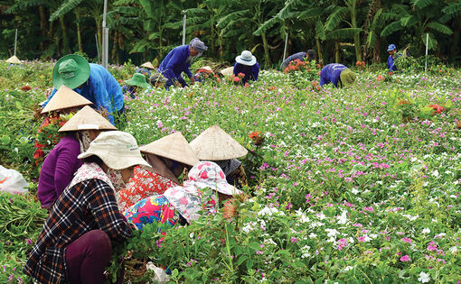 Gương sáng học Bác