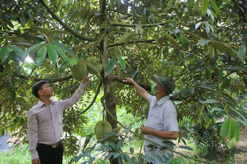 Cần Thơ: Tạo chuyển biến từ nhận thức đến hành động trong xây dựng nông thôn mới